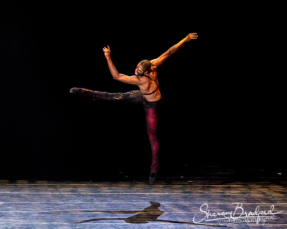 Stardust-pc Sharen Bradford-0903