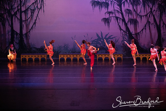 TDC La Bayadere pc Sharen Bradford-2961