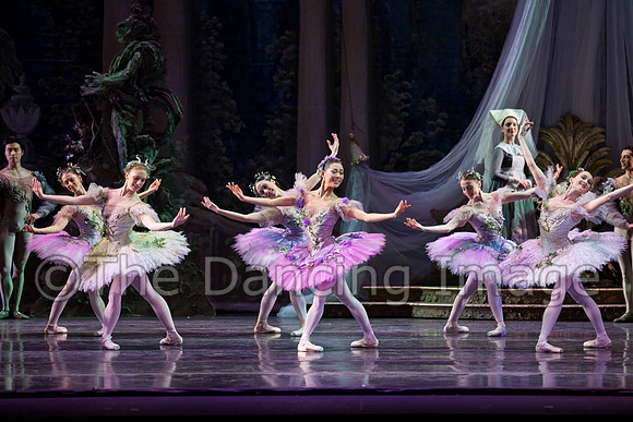 TB Sleeping Beauty Wed.-0076