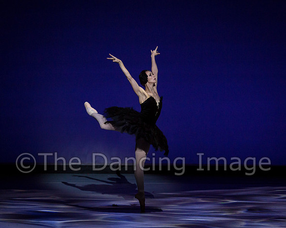 Olga Pavlova_The Dying Swan-3931