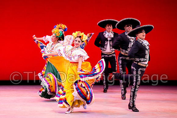 Mosaic Dance Project-0348