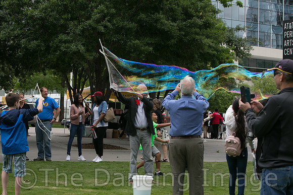 MJS_5184