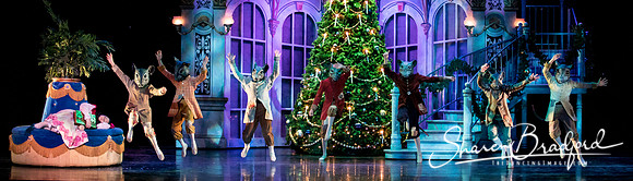 Nutcracker matinee pc Sharen Bradford-4692
