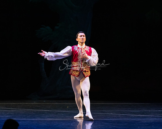 Ballet NTX Sleeping Beauty pc Sharen Bradford-1215