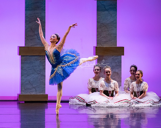 Ballet NTX Sleeping Beauty pc Sharen Bradford-1820