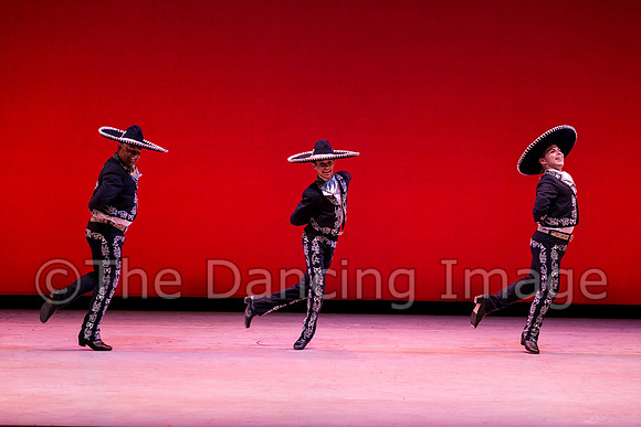 Mosaic Dance Project-0408