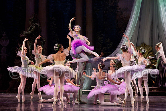 TB Sleeping Beauty Wed.-0041