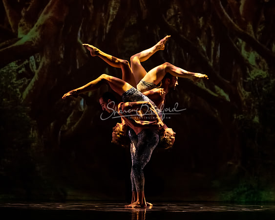 MOMIX Alice pc Sharen Bradford-0973