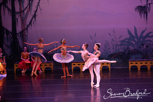 TDC La Bayadere pc Sharen Bradford-3170