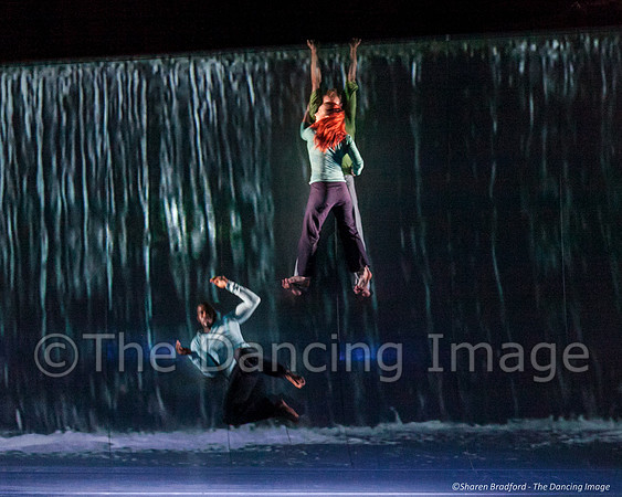 Motionhouse SCATTERED-0427