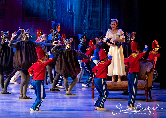 CCBT Nutcracker 19 pc Sharen Bradford-4431
