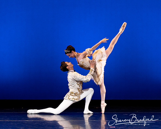 Texas Ballet Theater pc Sharen Bradford-1180