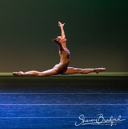 Ballet Dallas Seasons pc Sharen Bradford-1577