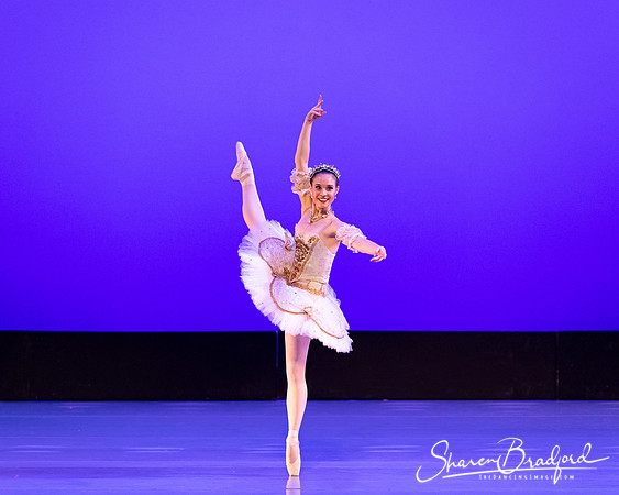 TBT Sleeping Beauty Pas pc Sharen Bradford-1551