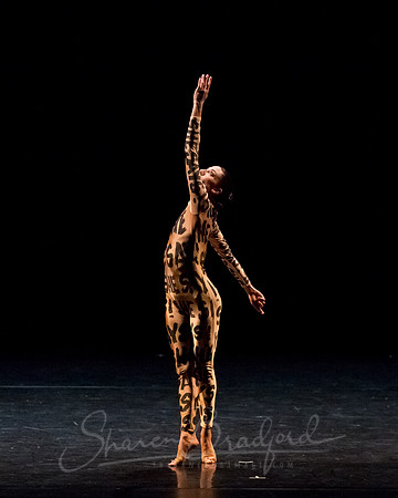 Petronio Dance_Hardness 10_ pc Sharen Bradford-7372