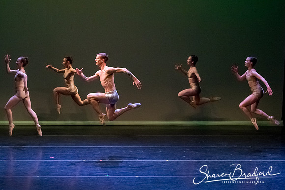 Ballet Dallas Seasons pc Sharen Bradford-1592