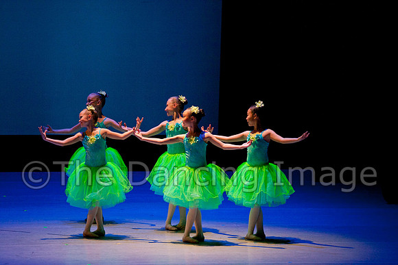 CSPAfri-2004