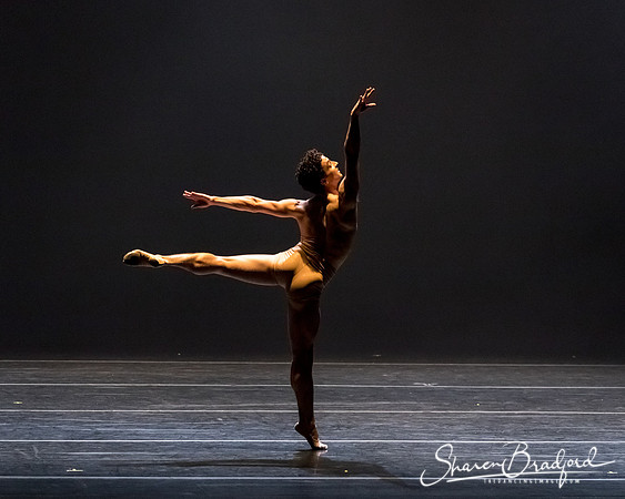 Bach 25_pc Sharen Bradford-2-65