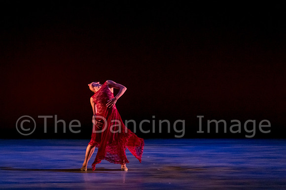 Chado Danse-2864