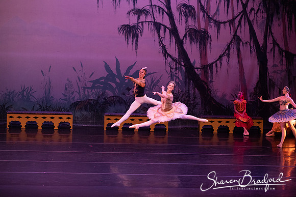 TDC La Bayadere pc Sharen Bradford-3101