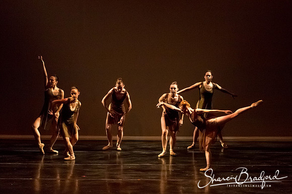 Ballet Dallas Seasons pc Sharen Bradford-1387
