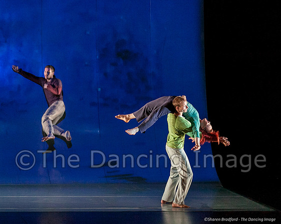 Motionhouse SCATTERED-0237