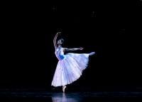 Nutcracker eve pc Sharen Bradford-6730