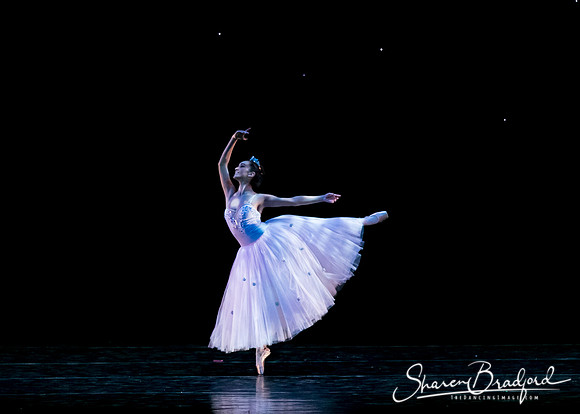 Nutcracker eve pc Sharen Bradford-6730
