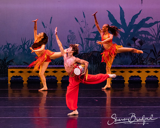 TDC La Bayadere pc Sharen Bradford-2967