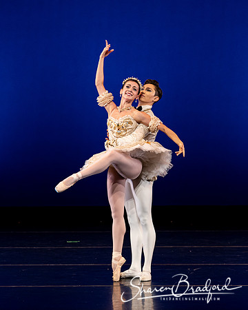 Texas Ballet Theater pc Sharen Bradford-1228