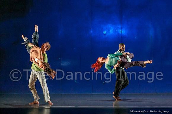 Motionhouse SCATTERED-0212