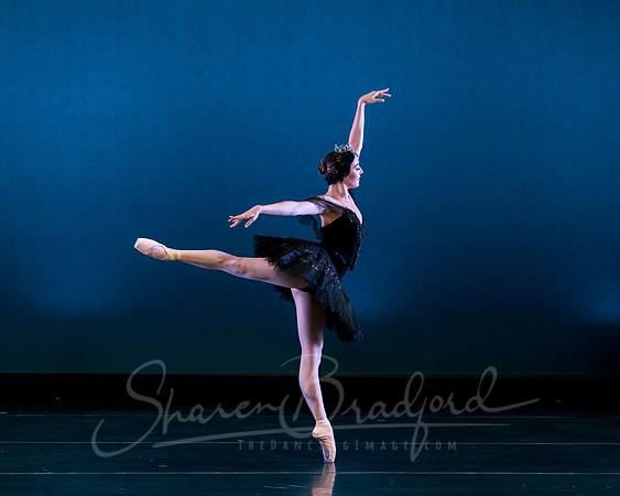Texas Ballet Theater pc Sharen Bradford-1566