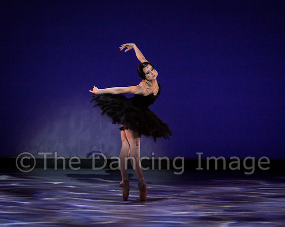 Olga Pavlova_The Dying Swan-3875