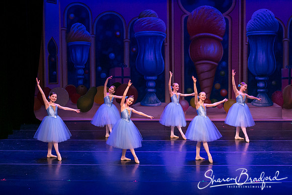 Waltz of the Flowers pc Sharen Bradford-1807