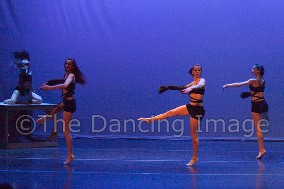 TBT PACE 09-0447