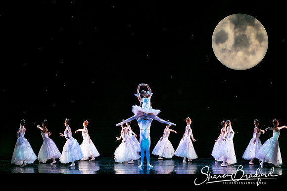 Nutcracker eve pc Sharen Bradford-6822