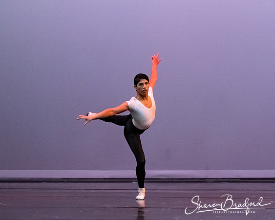Petites Danses pc Sharen Bradford-40809