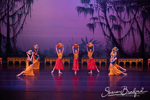 TDC La Bayadere pc Sharen Bradford-2924