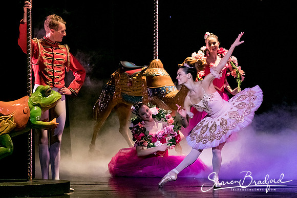 Nutcracker matinee pc Sharen Bradford-5312