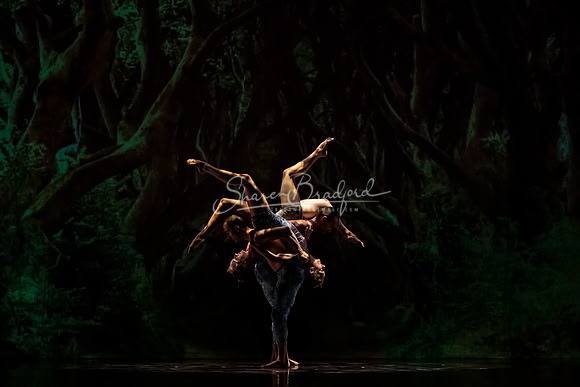 MOMIX Alice pc Sharen Bradford-0977