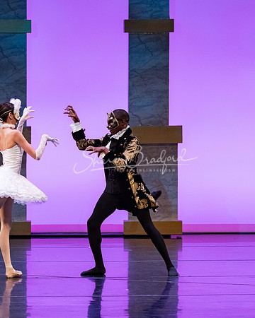Ballet NTX Sleeping Beauty pc Sharen Bradford-1806