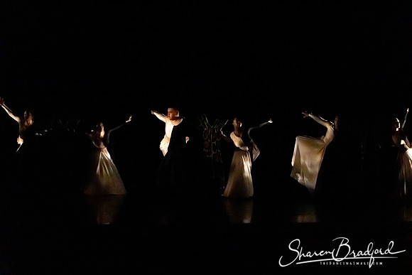 Luminous pc Sharen Bradford-40318