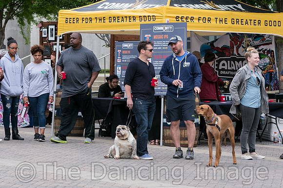 DAD Block Party pc Marty Sohl-5609