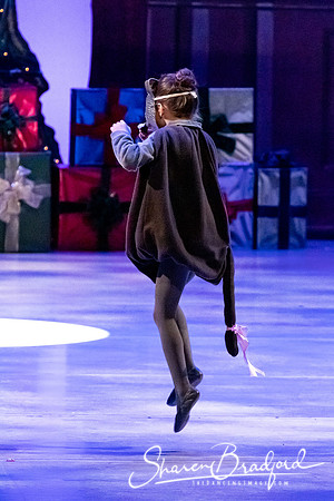 CCBT Nutcracker 19 pc Sharen Bradford-4391