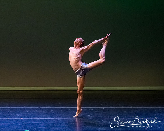 Ballet Dallas Seasons pc Sharen Bradford-1613