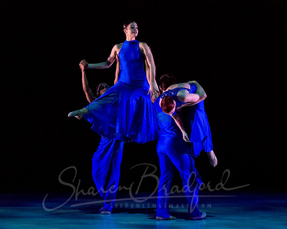 Following Echoes - pc Sharen Bradford-3382