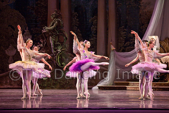 TB Sleeping Beauty Wed.-0103