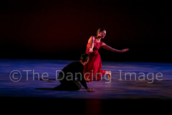 Chado Danse-2869