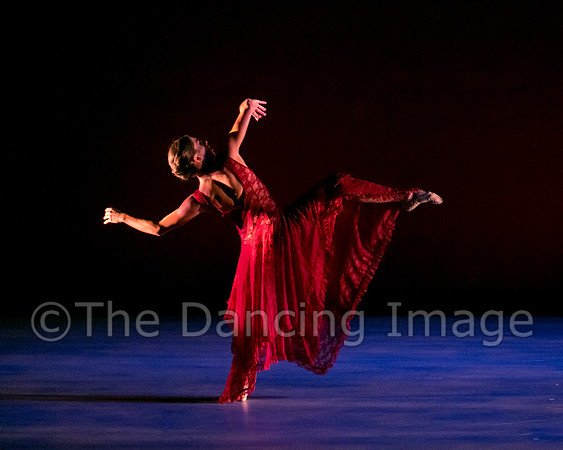 Chado Danse-2862