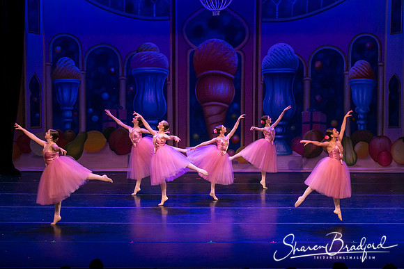 Waltz of the Flowers pc Sharen Bradford-1796